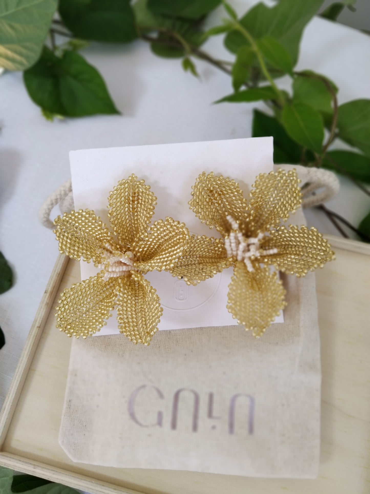 Lily Gold